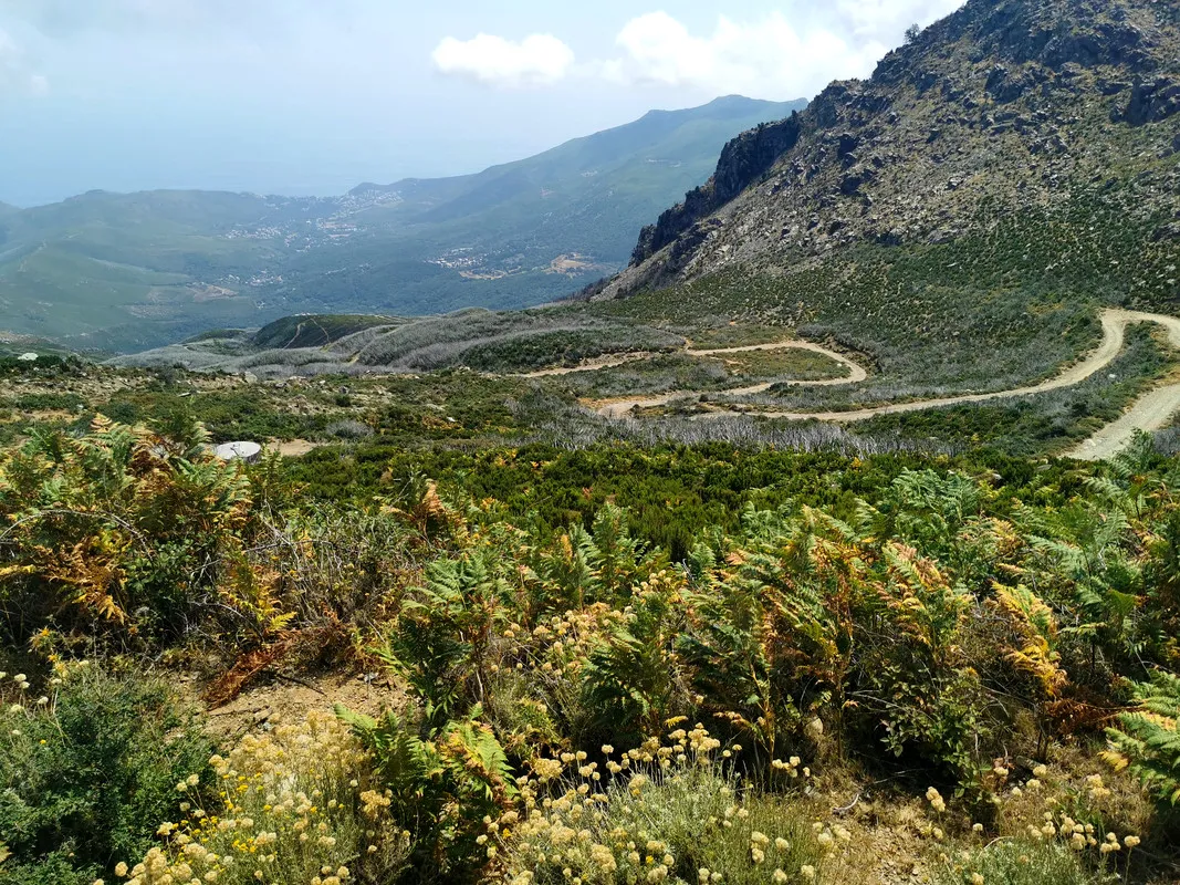 Śląska Wyprawa Offroadowa